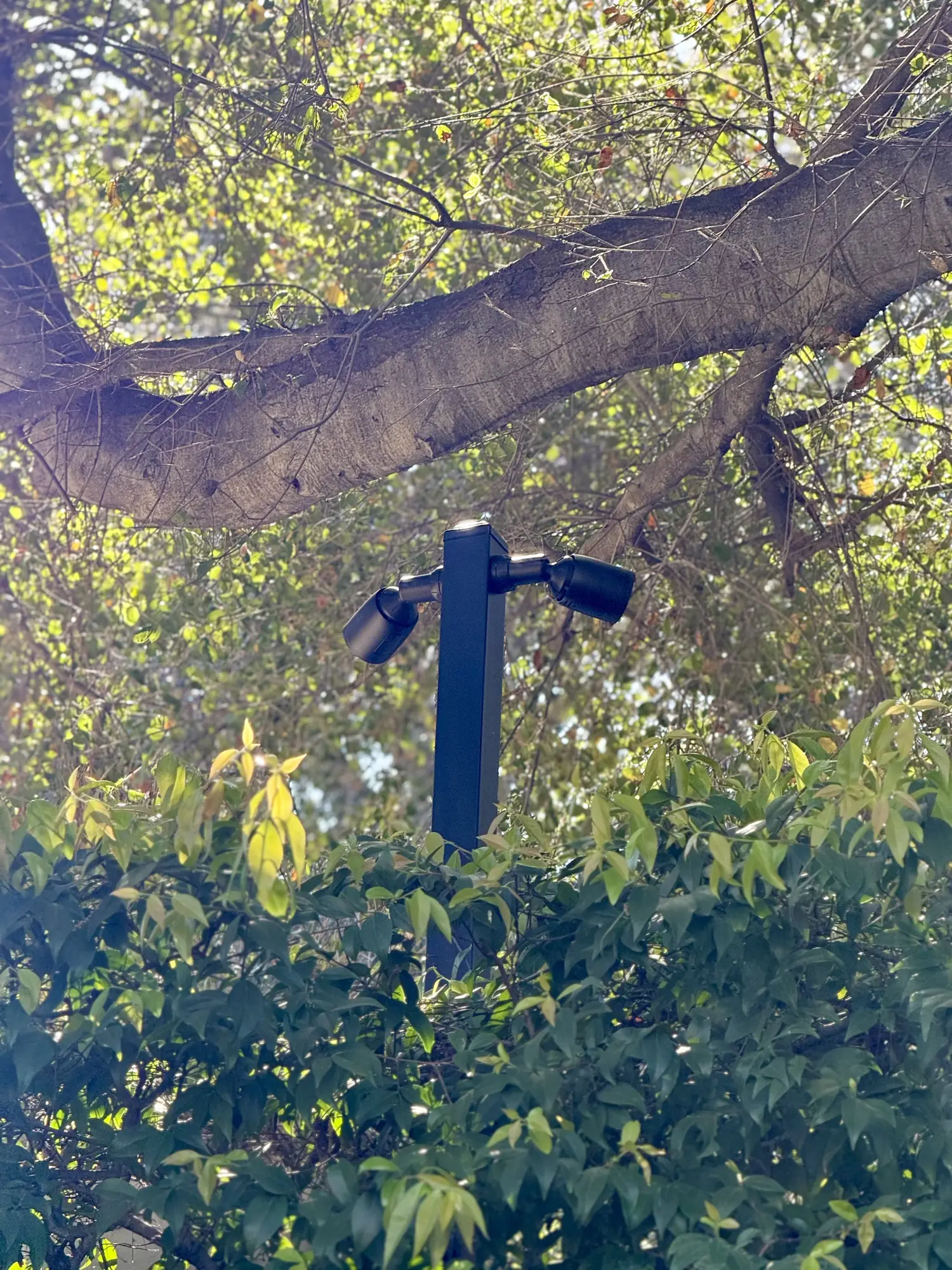 Two bullet cameras on a black post