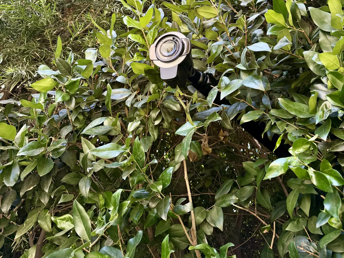 UniFi Protect camera on a post in a hedge