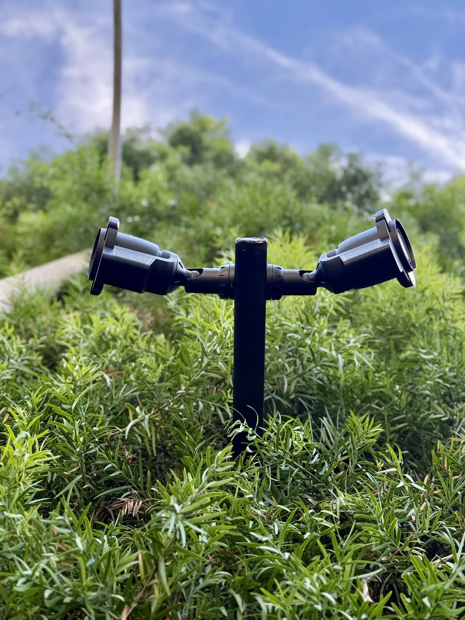 Two UniFi Protect cameras on one black post