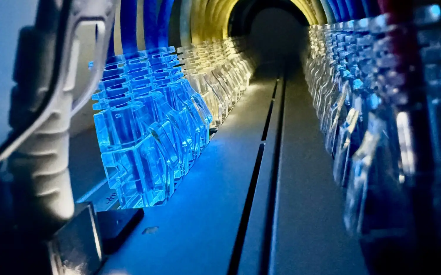 Rows of RJ45 plugs with Ethernet cables
