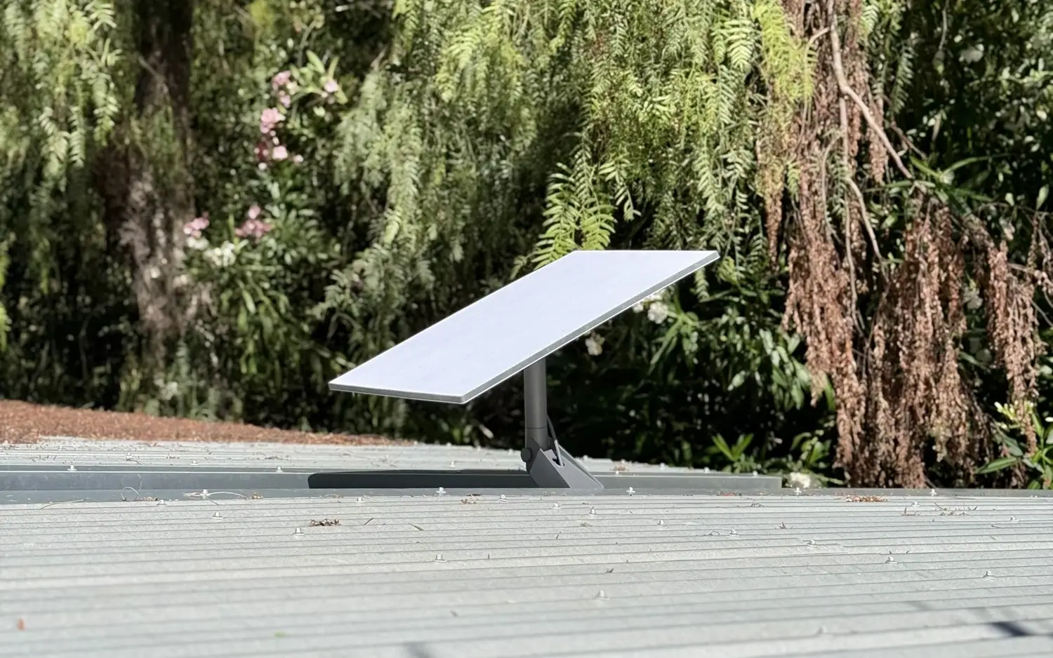Starlink dish on a metal roof
