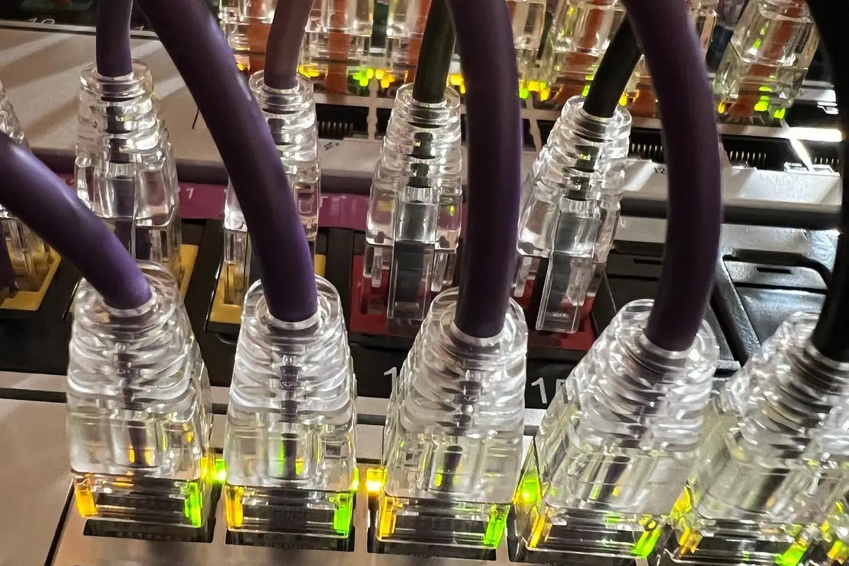 Ethernet cables plugged into a switch